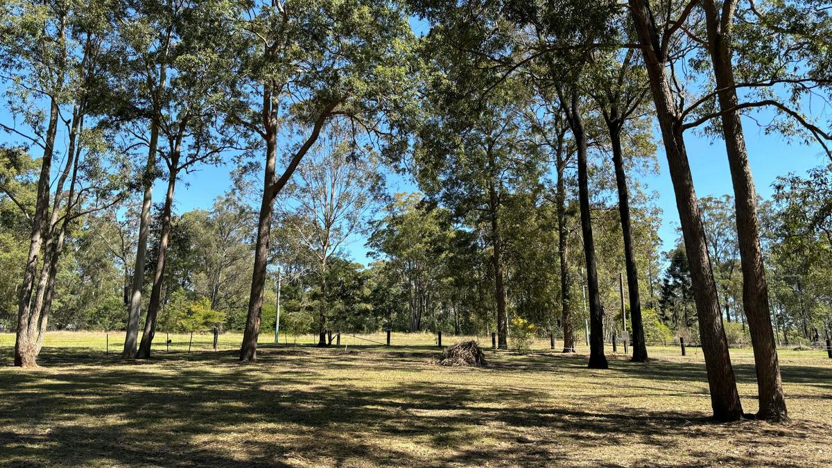 Blackbutt Permaculture Farm Camp