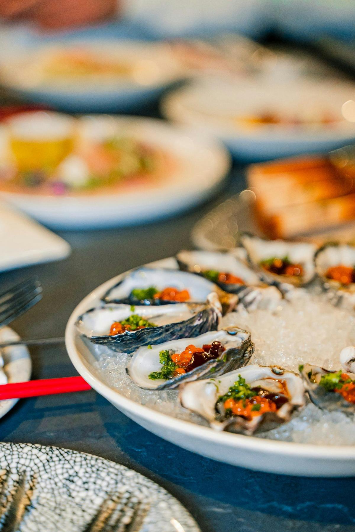 Oysters cold