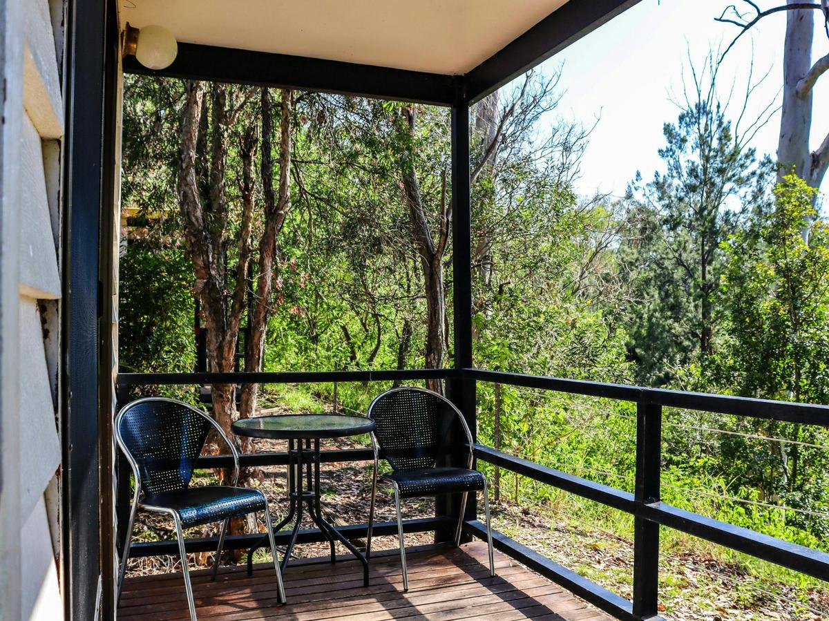 View from Cabin