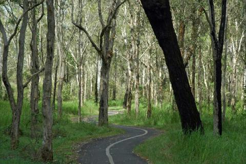 Boondall