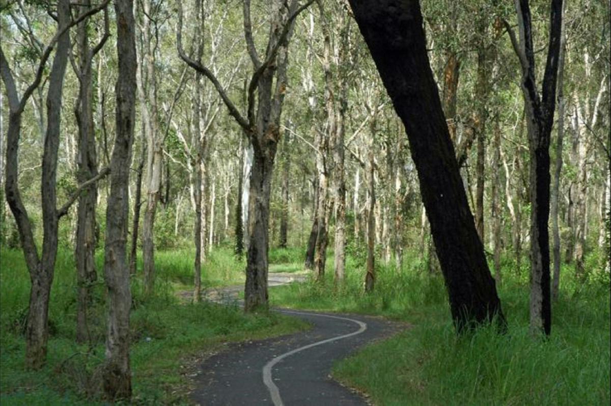 Boondall Wetlands