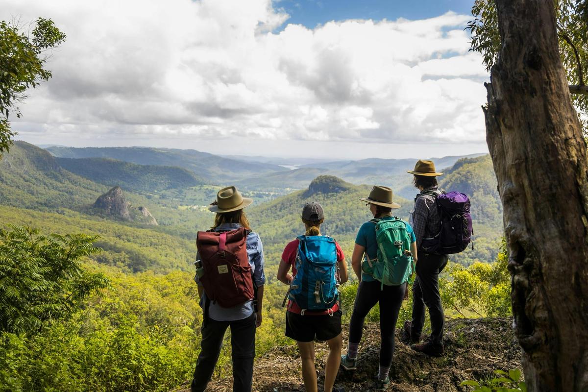 Feel on top of the world at Binna Burra, Lamington National Park, within the Scenic Rim