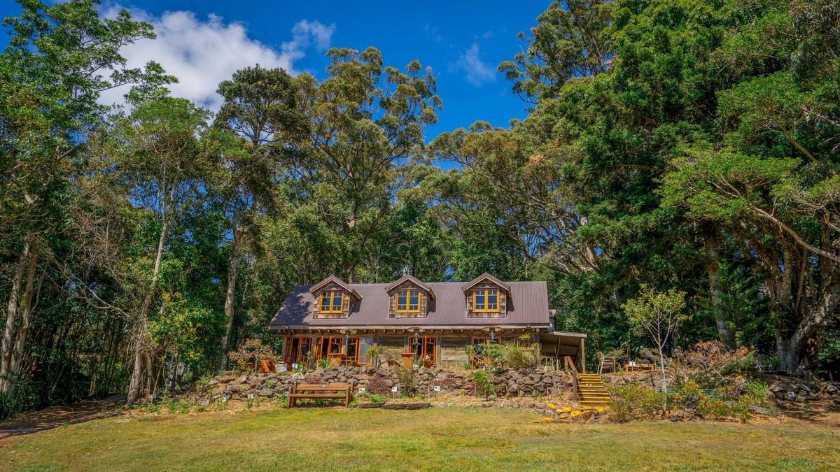 Stop by the historic Grooms Cottage at Binna Burra for a casual meal or sundowner on the terrace