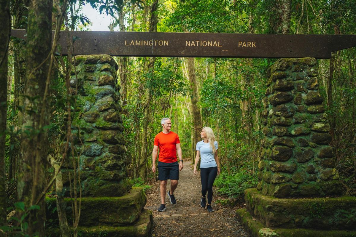 Your adventure in the Gondwana Rainforest begins at Binna Burra, within the Scenic Rim