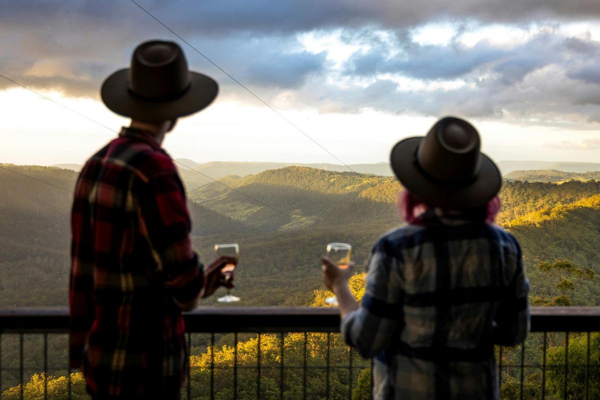 Enjoy the view from a Binna Burra Skylodge within the Scenic Rim