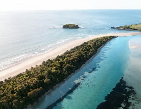 Minnamurra Headland