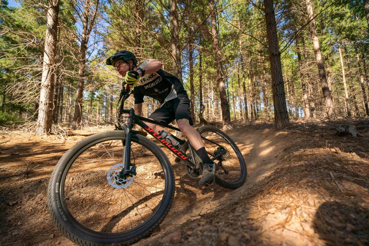 Masons Hill Pines