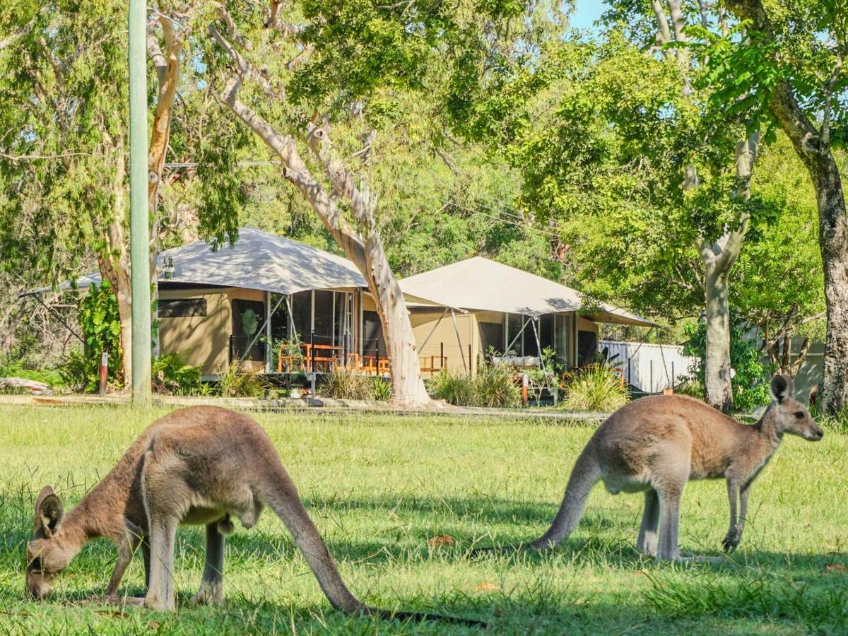 Kangaroo Glamping Tents