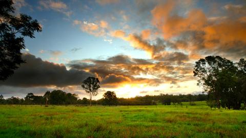 Bishop Farm Camp
