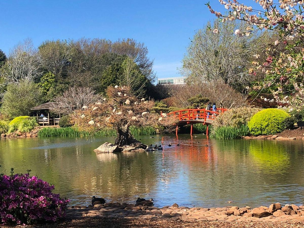 The Gardens of Toowoomba