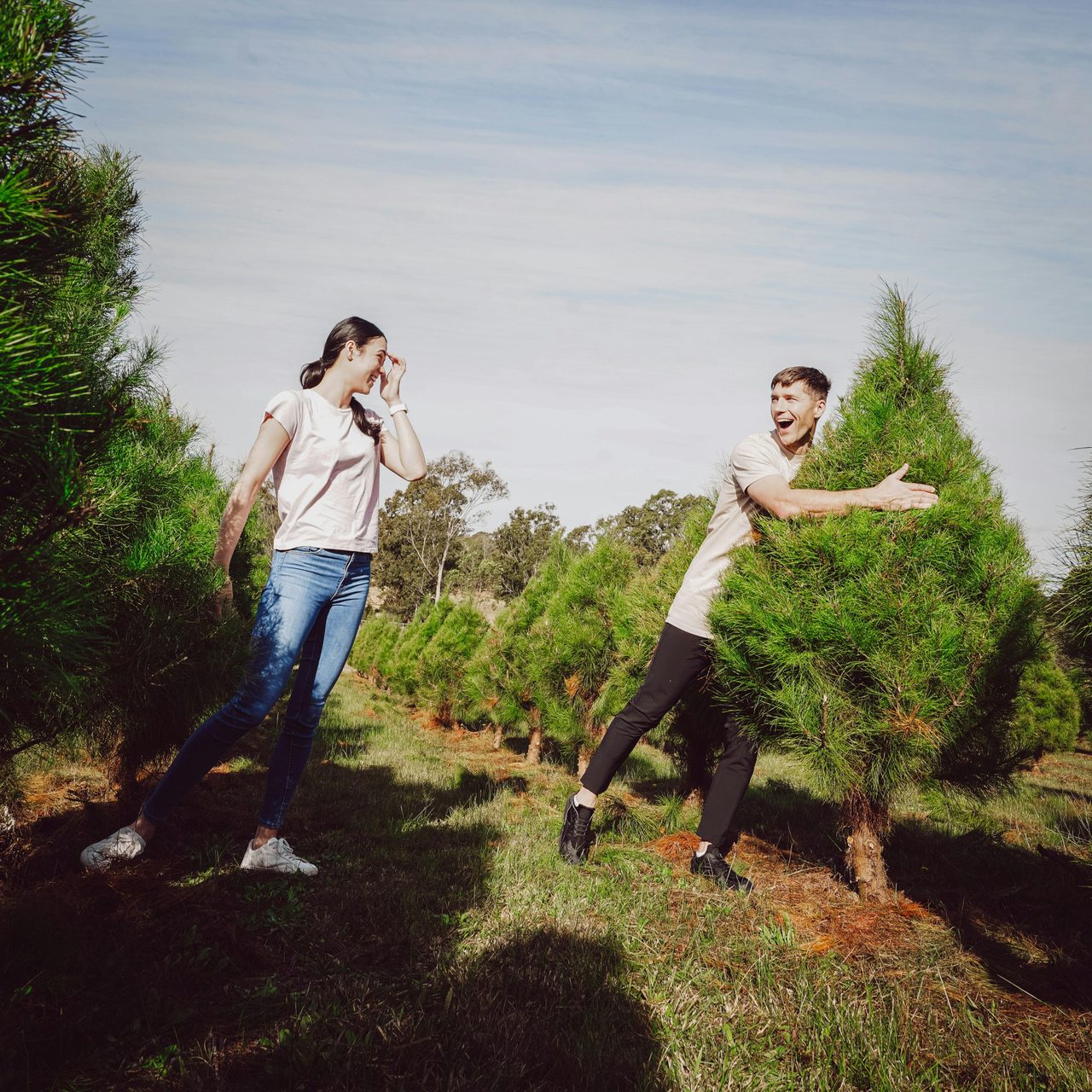 Luddenham Christmas Tree Farm - Pick Your Perfect Tree  - Close to Sydney NSW