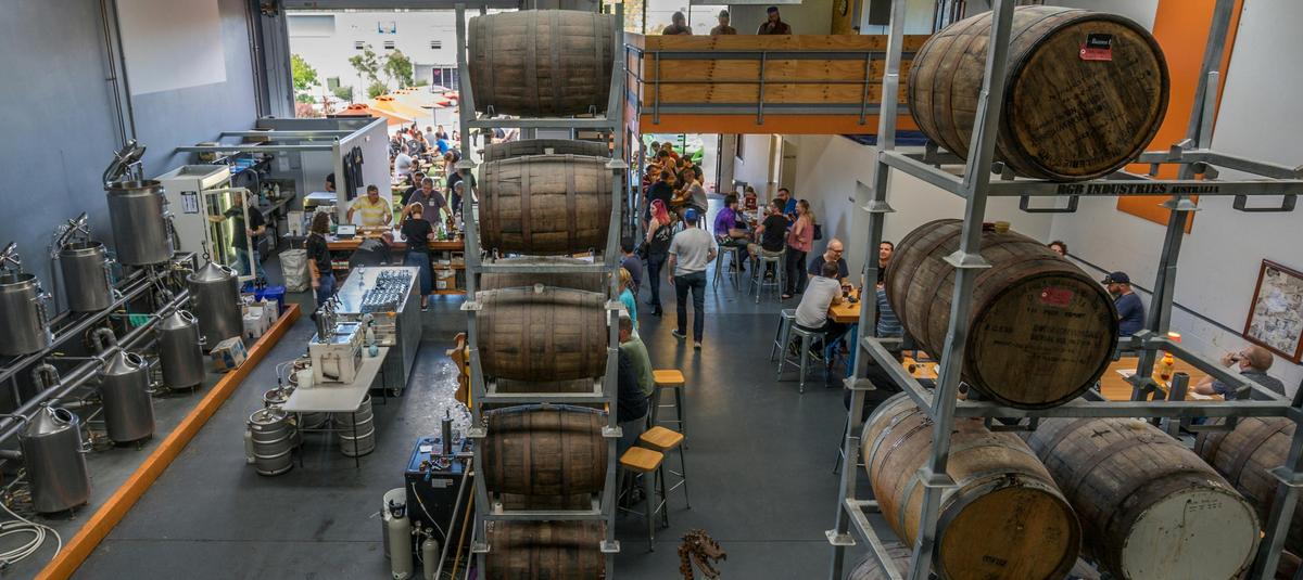 Bacchus Brewing Co.