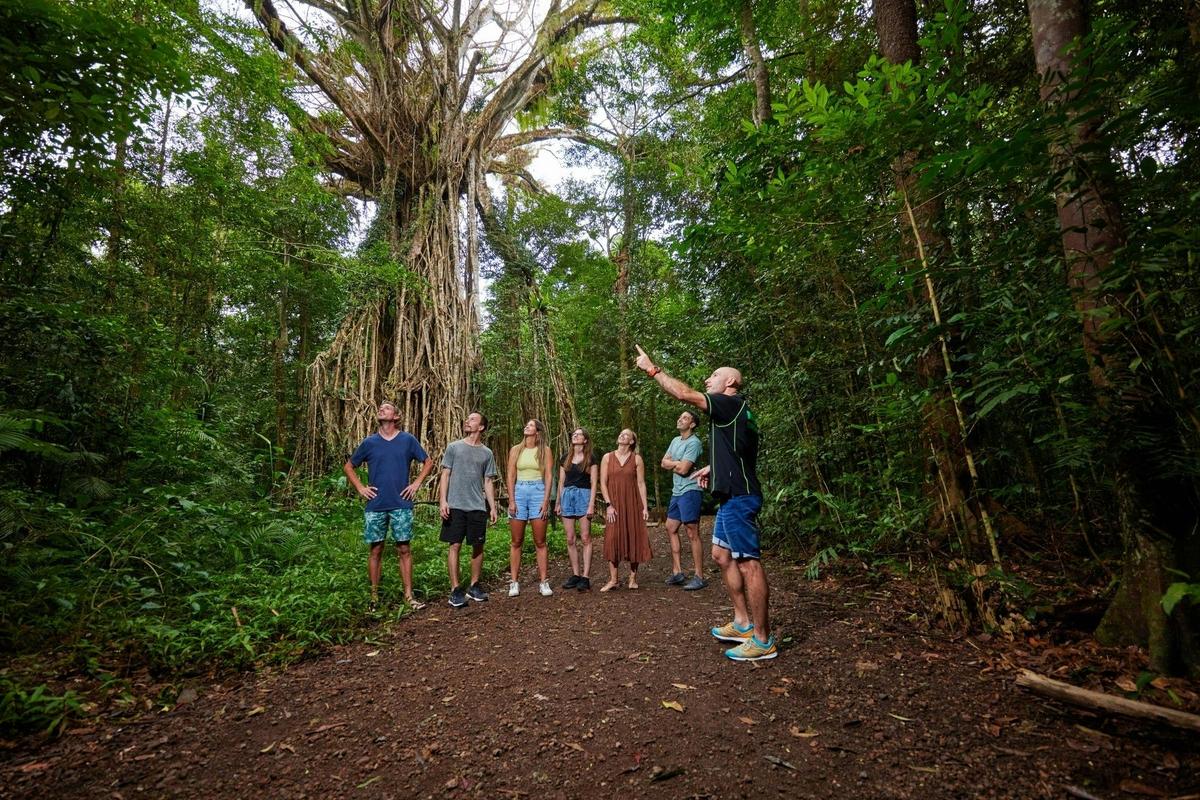 Barefoot Tours by Cairns Waterfalls
