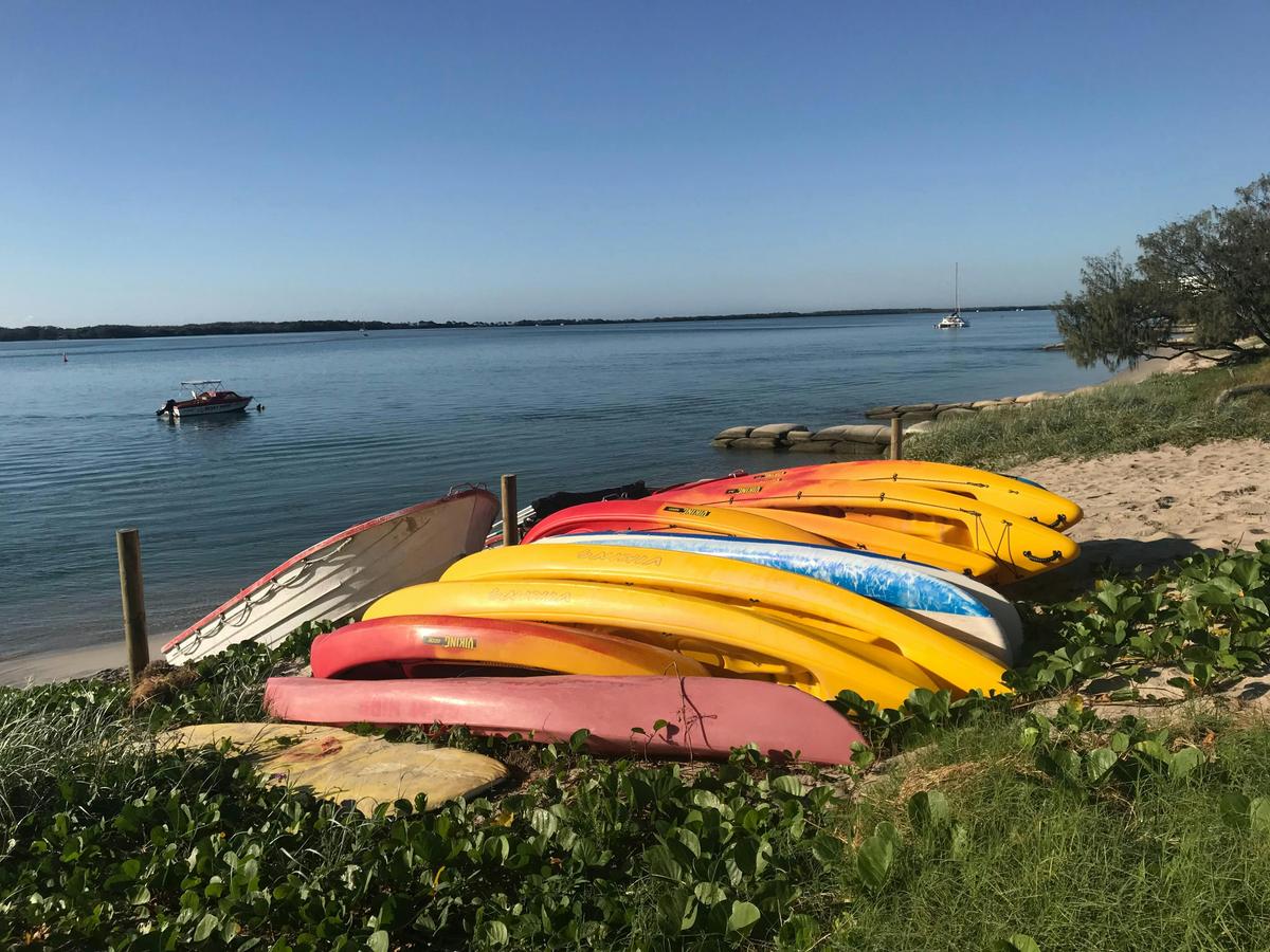 Paddle Board