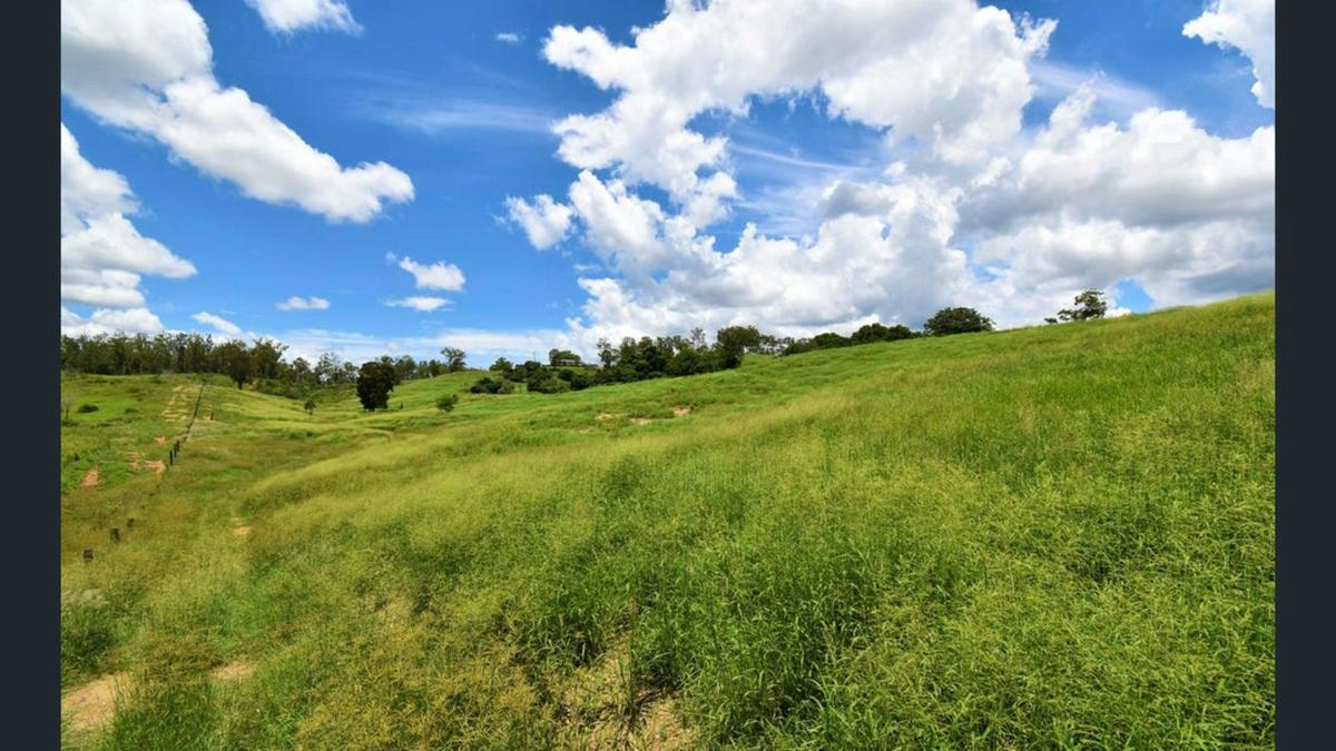 Billy goat plains