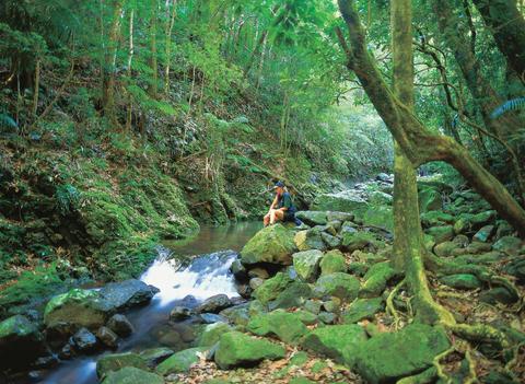 Lamington National Park