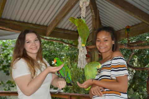 Birdworld Kuranda