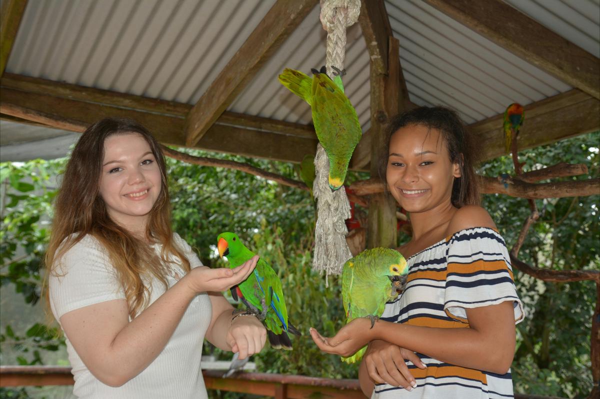 Interactive experiences at Birdworld Kuranda