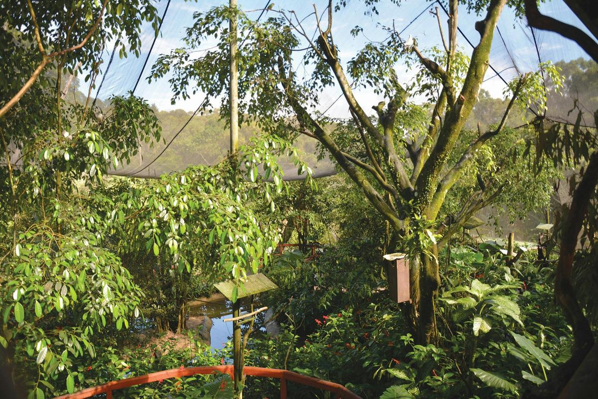 Birdworld Kuranda