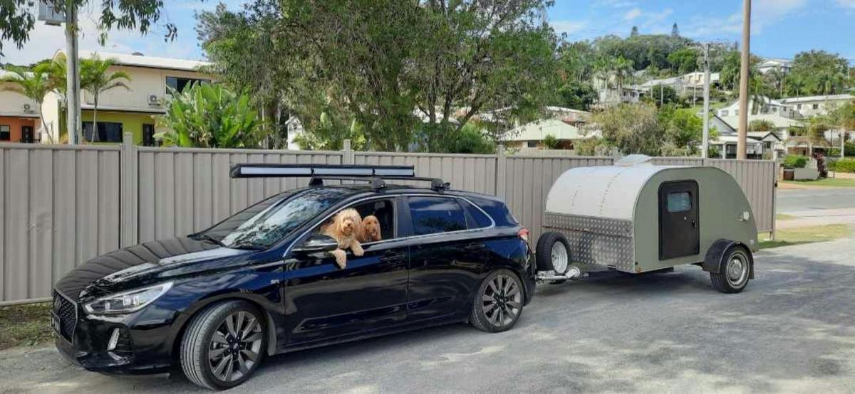 Welcoming fur babies