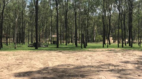 Ballogie Bush Camp