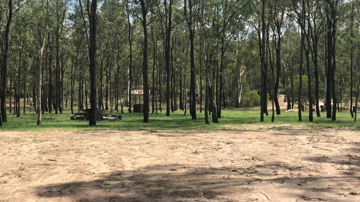 Ballogie Bush Camp