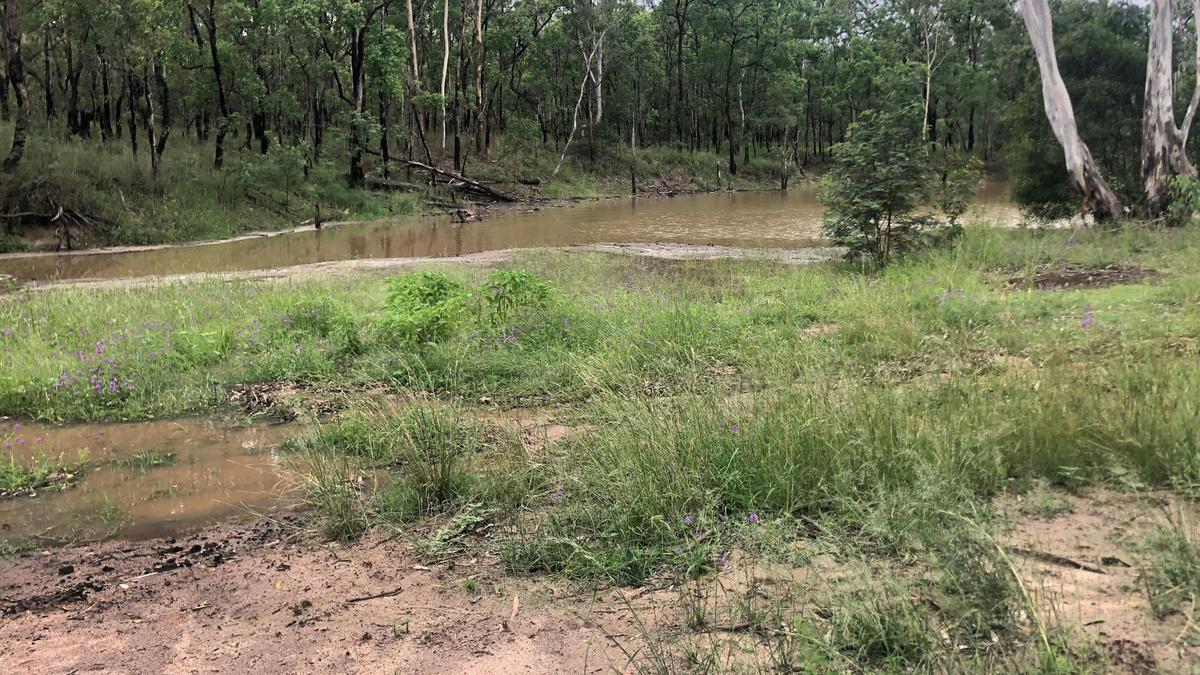 Ballogie Bush Camp