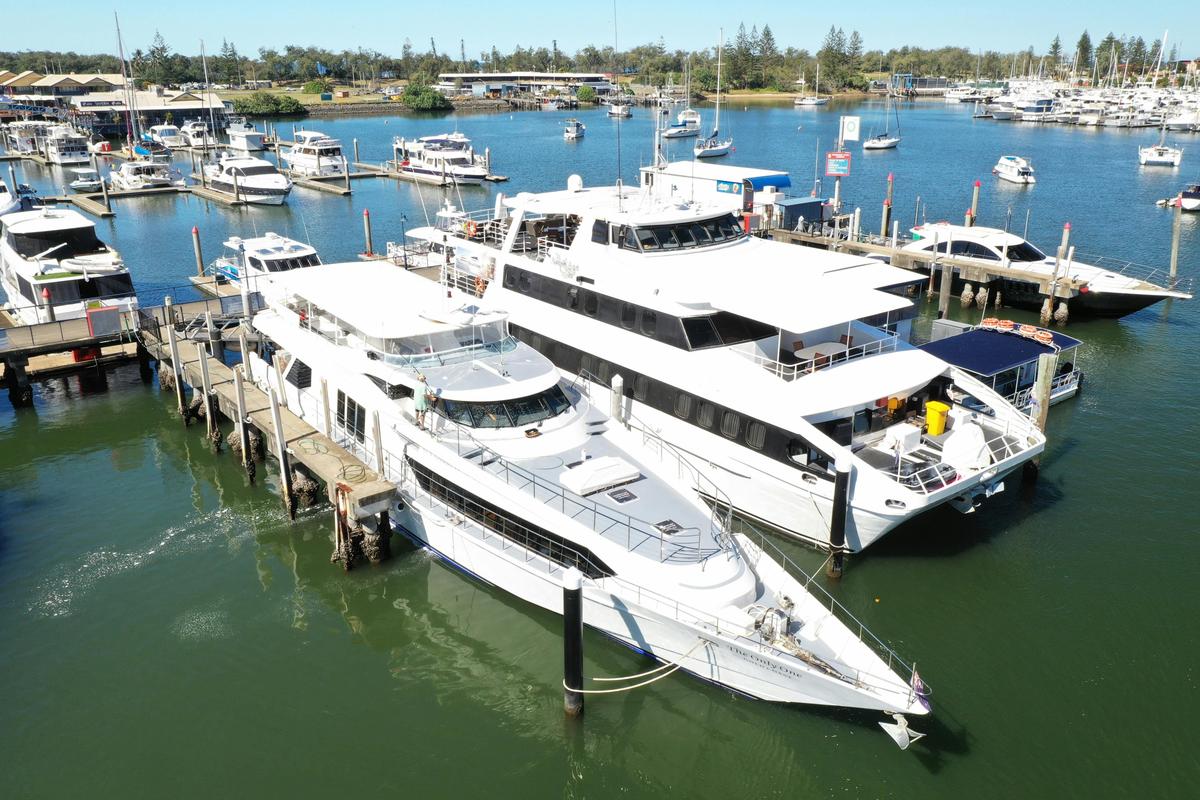 Luxury Whale Watching
