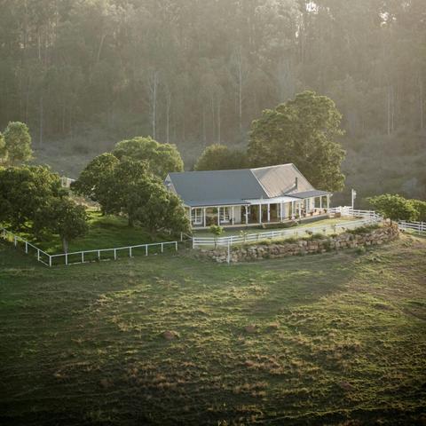 Homestead Fig Tree Suite