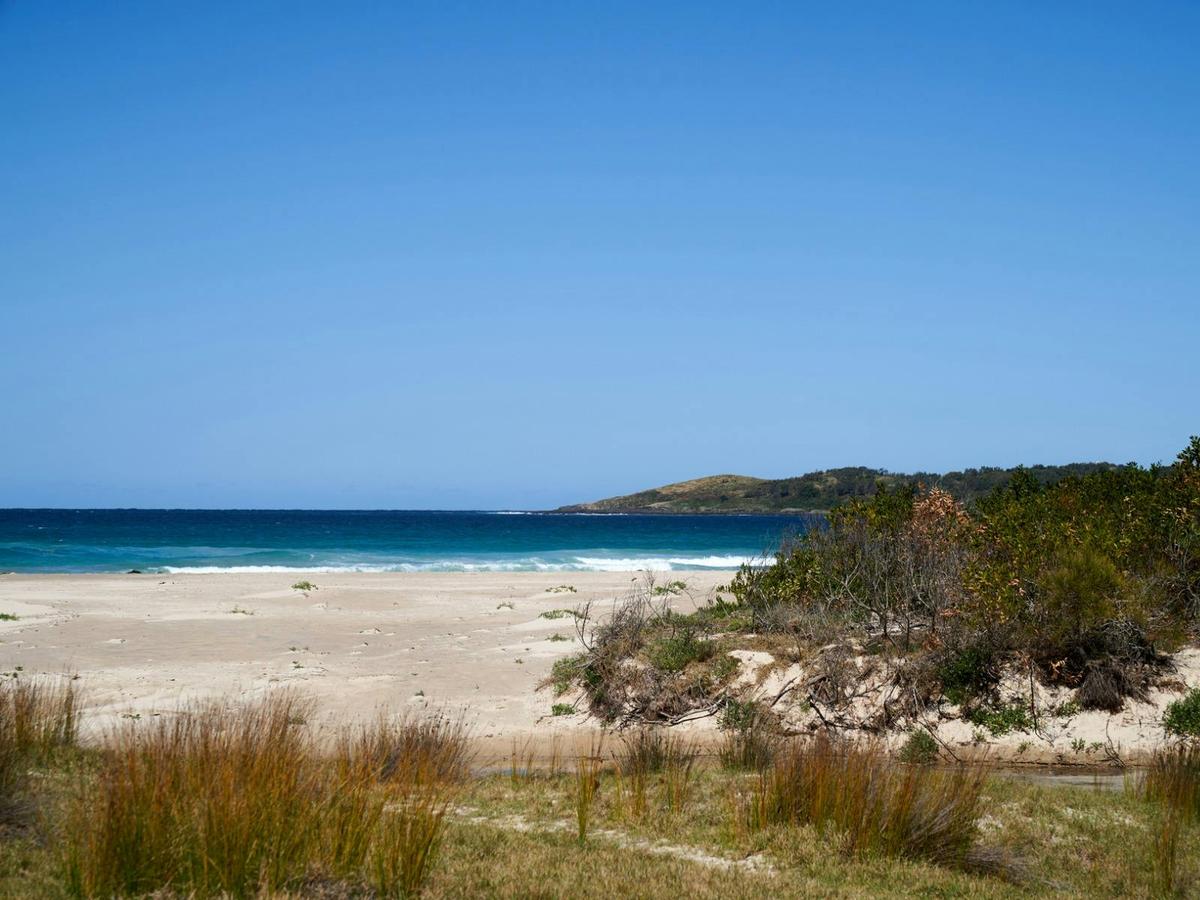 Track to Murramarang Beach