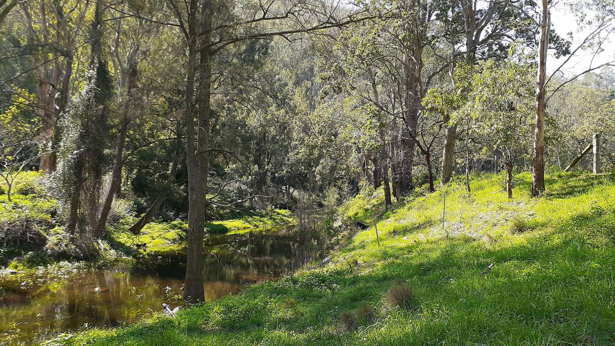 Water hole in Orchard paddock