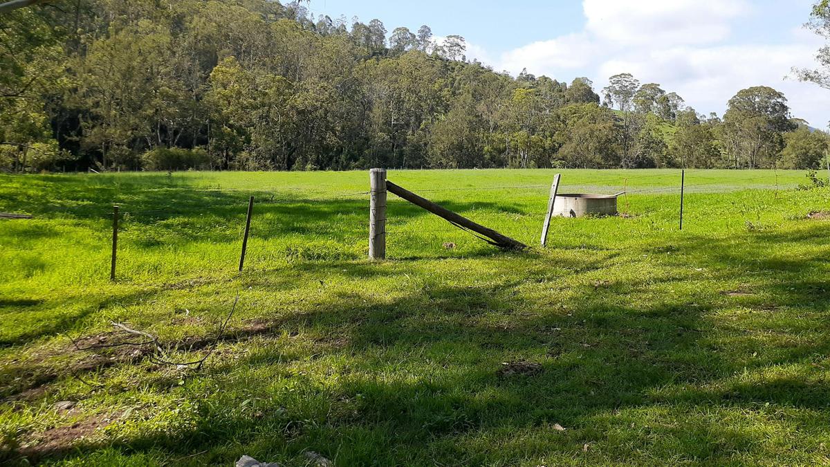 Open paddock