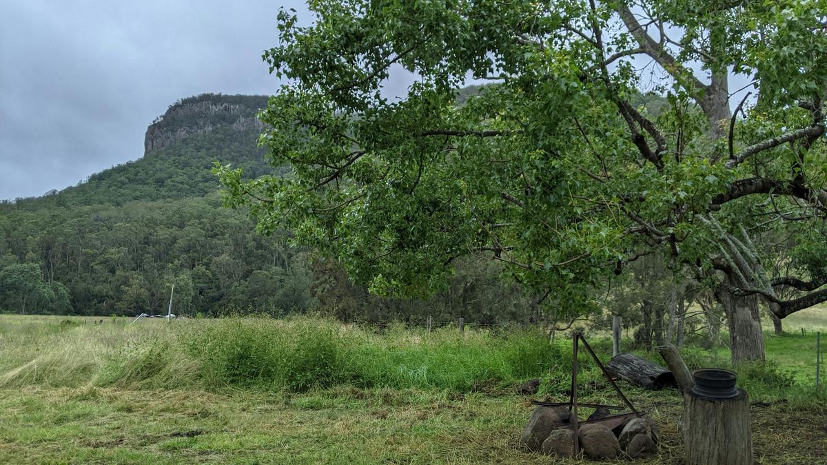 Booyong Camping