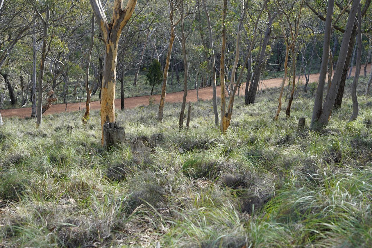 Jerrabomberra Mountain