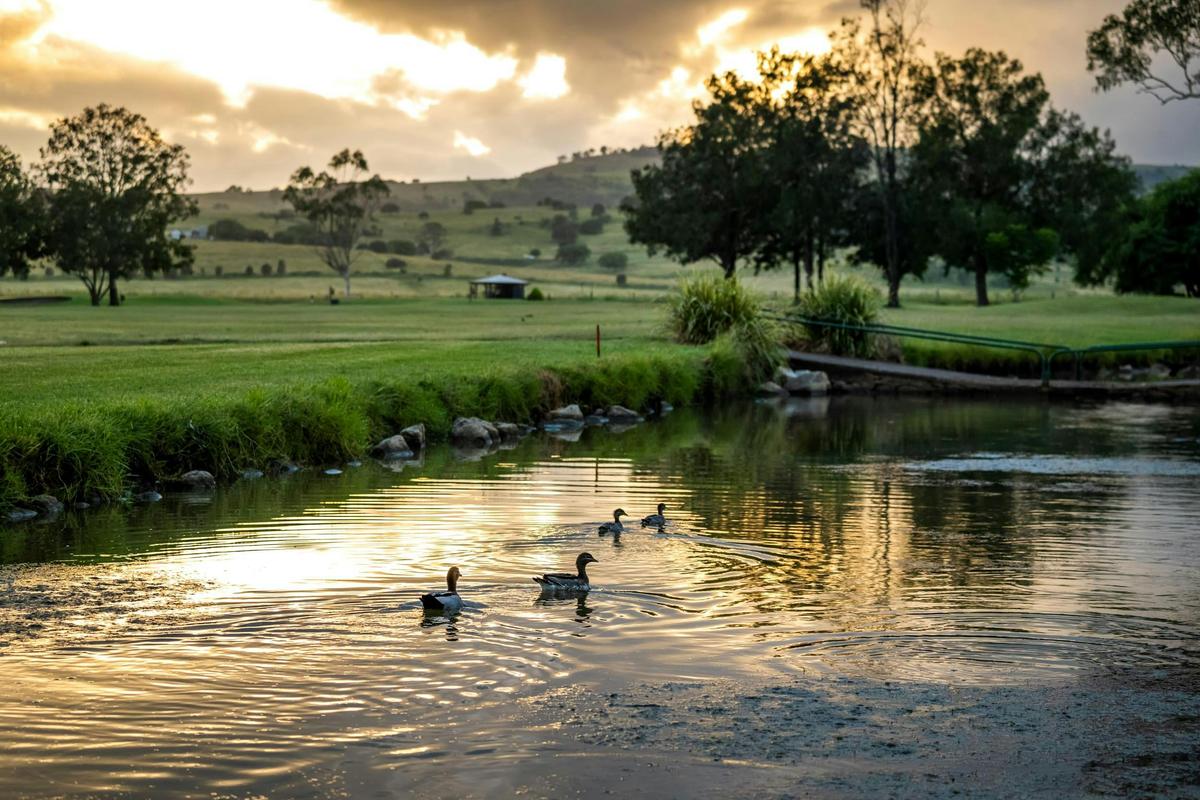 The serenity