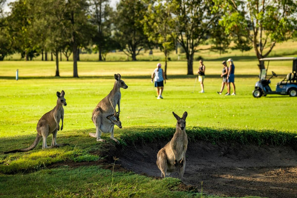 Enjoy your game as well as our wildlife