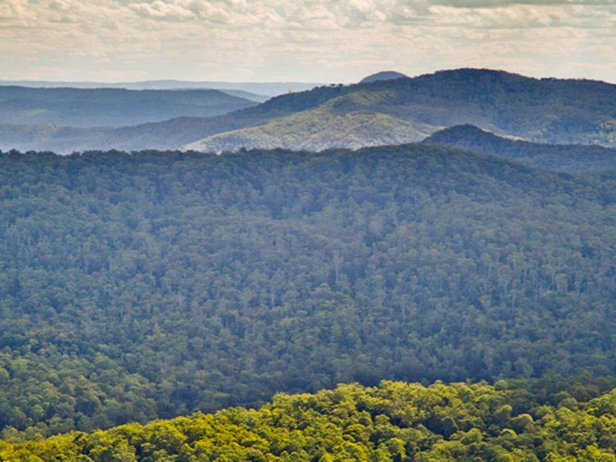 Murray Scrub lookout