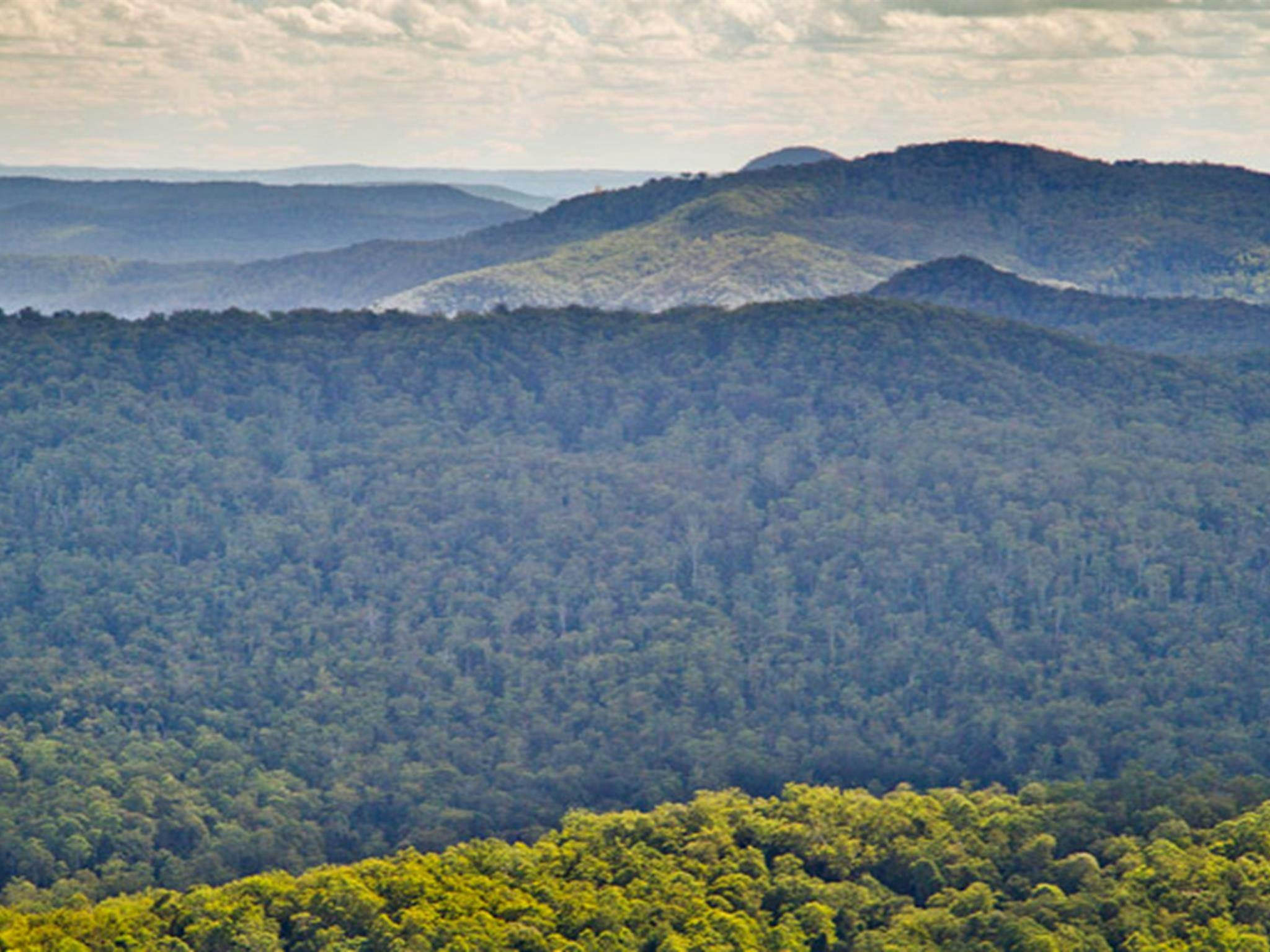 Murray Scrub lookout