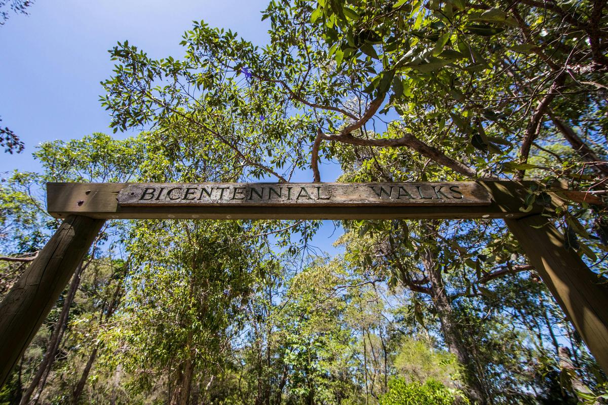 Bicentennial Walks on Bribie Island near Brisbane