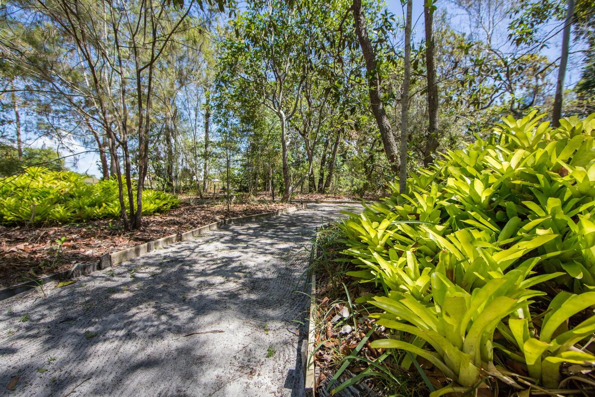 Walking Path Bicentennial Walks on Bribie Island near Brisbane