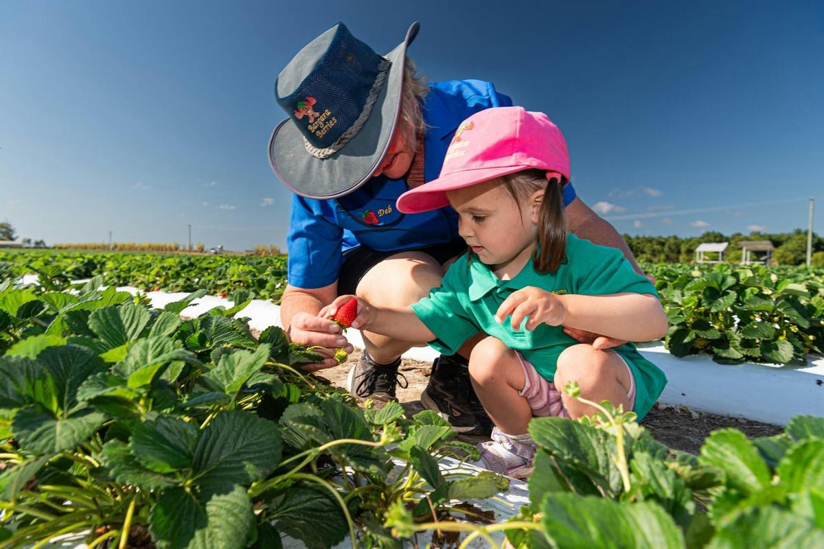 Family friendly farm experience