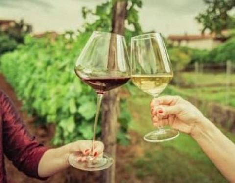 Mount Tamborine Food & Wine Tour