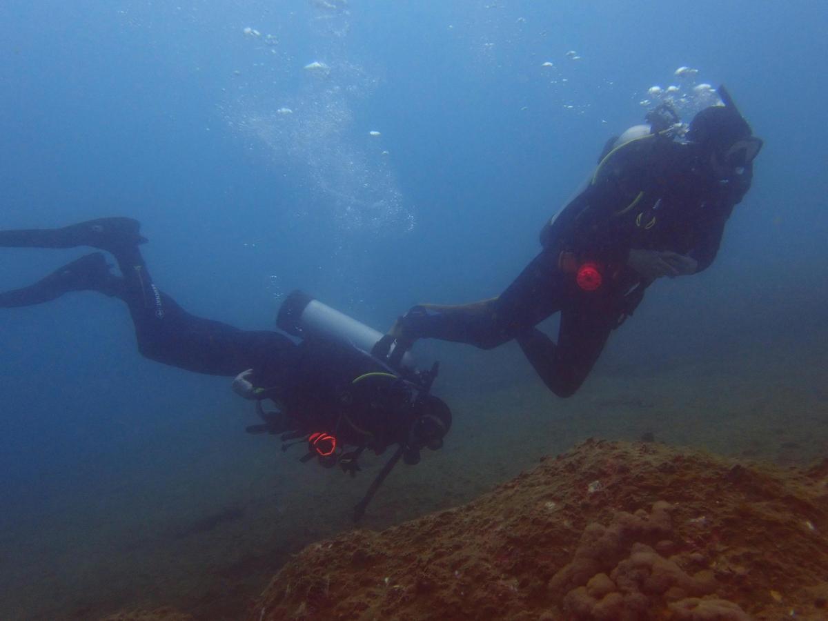 Learn to Scuba Dive