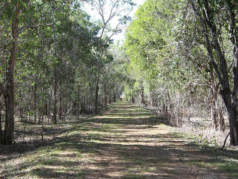 Barolin Nature Reserve