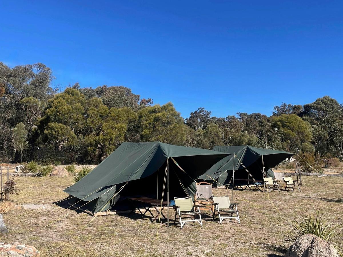 Bower Camp Co. Girraween Walking Tours