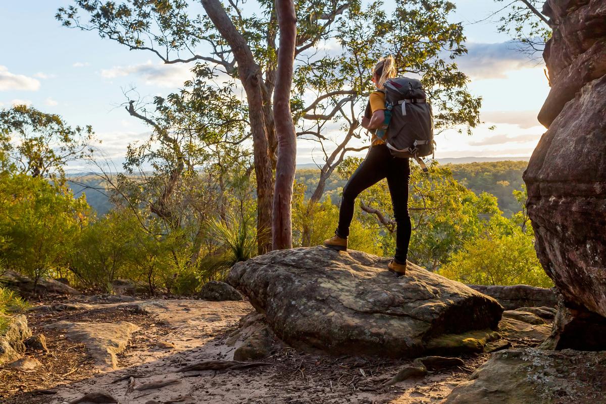 Bower Camp Co. Girraween Walking Tours