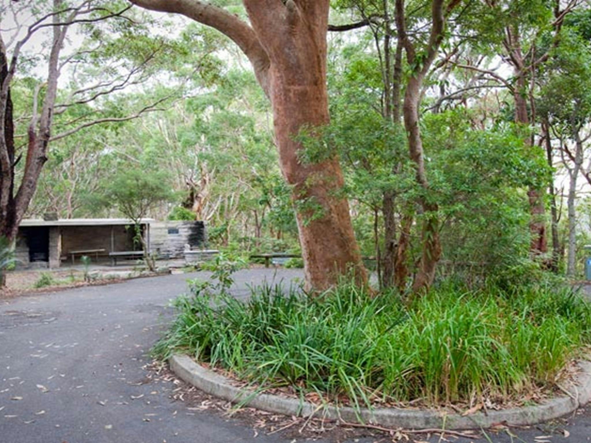 Mount Bouddi (Dingeldei) picnic area, Bouddi National Park. Photo: Nick Cubbin &copy; OEH