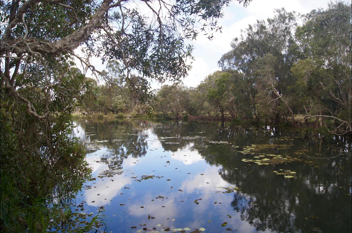 Baldwin Swamp
