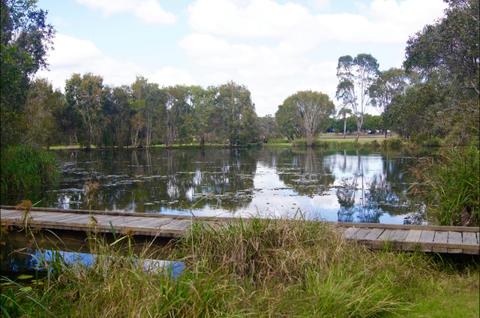 Baldwin Swamp Environmental Park
