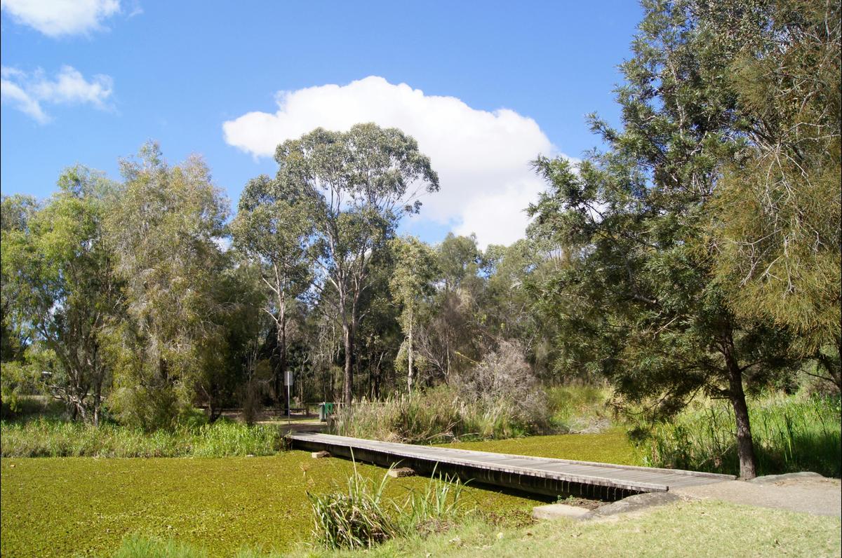 Baldwin Swamp